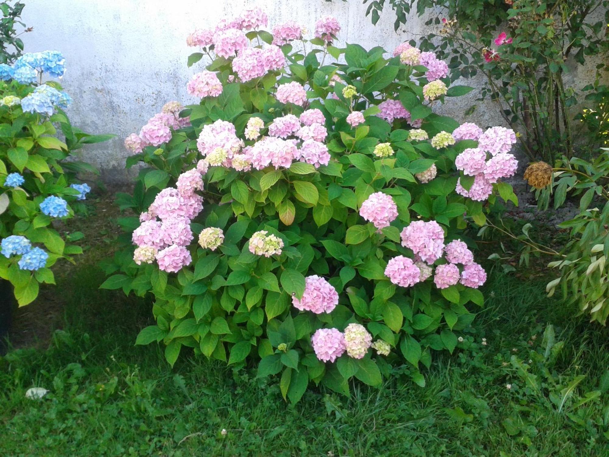 Casa Rural Oihan - Eder Apartment Espinal-Auzperri ภายนอก รูปภาพ